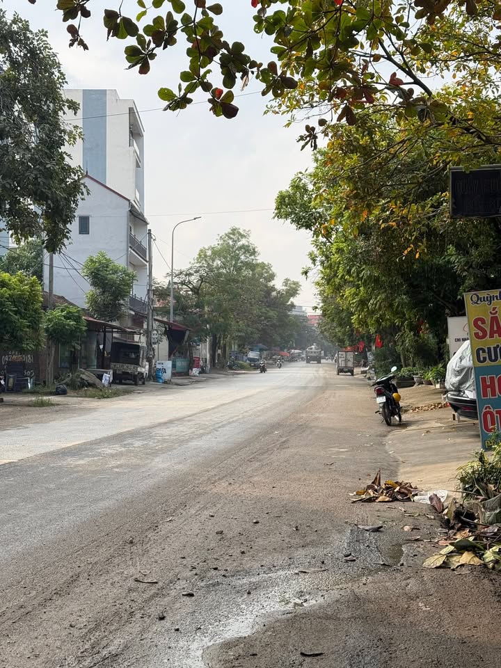 Đất mặt đường TL295 Yên Phong 141m² giá 4 tỷ - Cơ hội đầu tư siêu lợi nhuận!