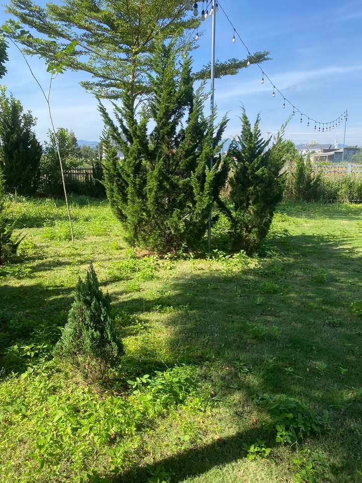 Townhouse Vila Bảo Lộc 252m² giá 5.5 tỷ - Thiết kế hiện đại, tiện nghi đầy đủ!