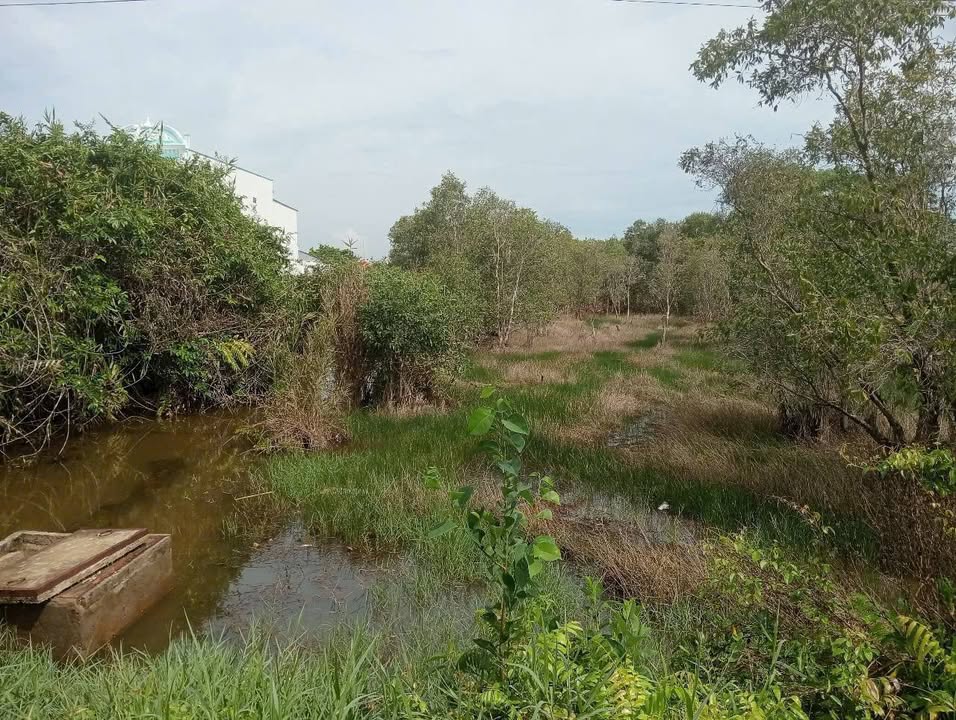 Đất nền An Xuyên Cà Mau 2132m² giá 4.725 tỷ - Vị trí đắc địa cho đầu tư!