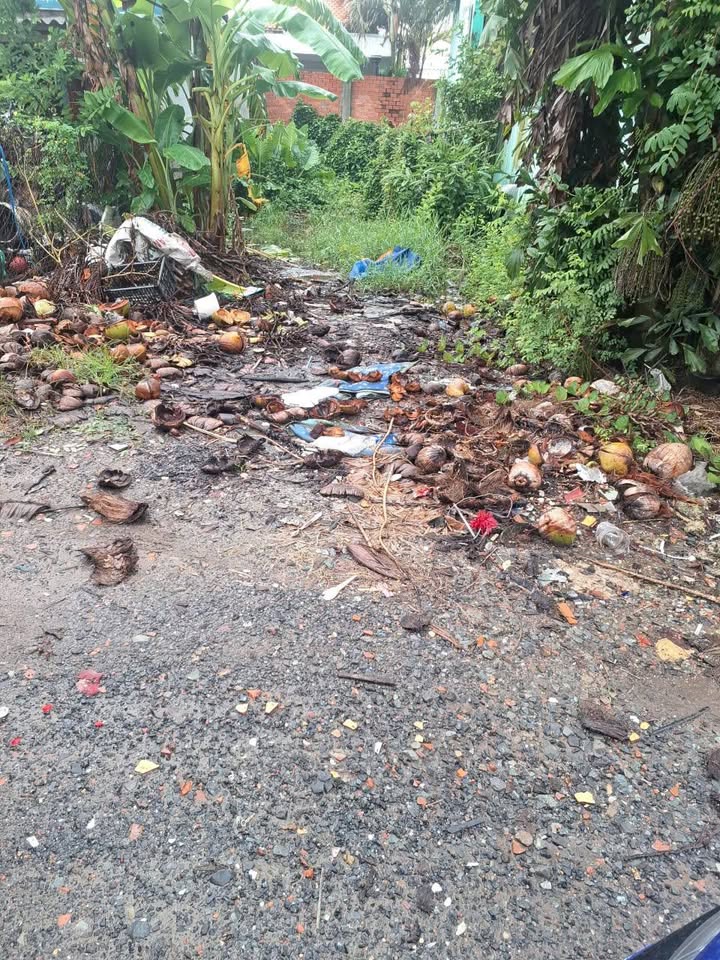 Đất nền 90m² tại ấp 4, xã Long Định, Cần Đước - Bán gấp chỉ 1.119 tỷ!