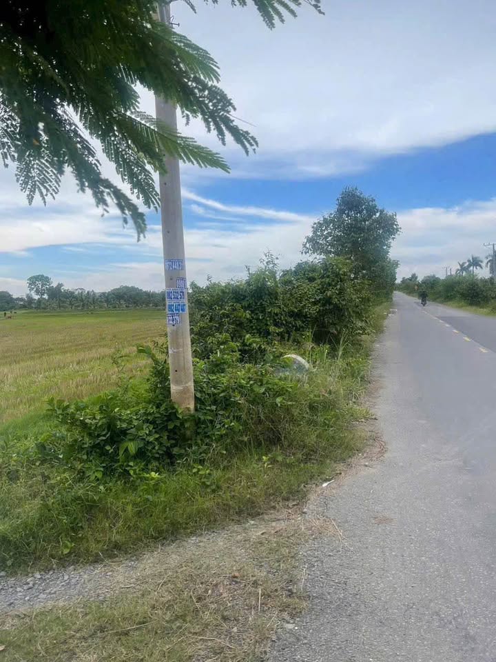 Đất nền An Ninh Tây, Đức Hòa 5584m² giá chỉ 5 tỷ - Cơ hội đầu tư hấp dẫn!