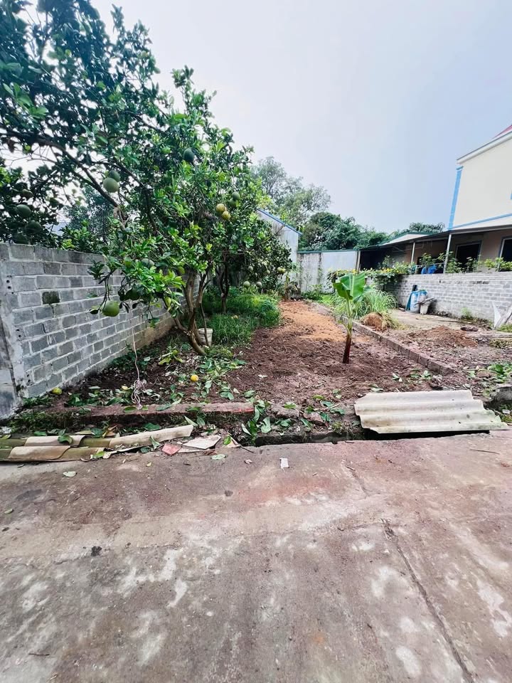 Đất nền Đông Yên, Quốc Oai 72m² giá 2 tỷ - Chính chủ bán gấp!