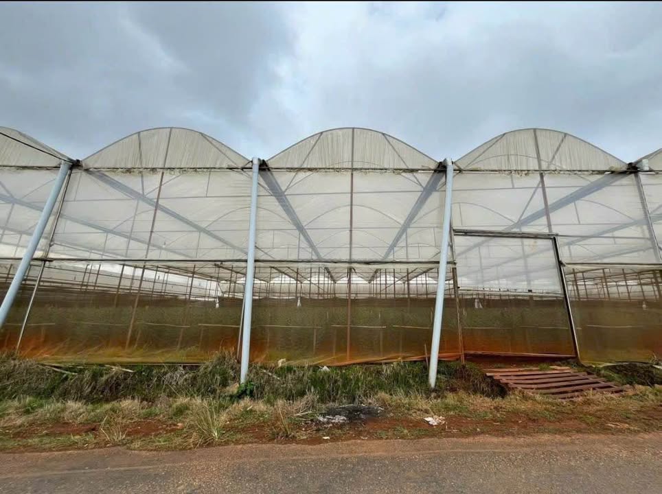 Đất nền Đà Lạt 500m² giá 2.8 tỷ - Đầu tư sinh lời ngay!