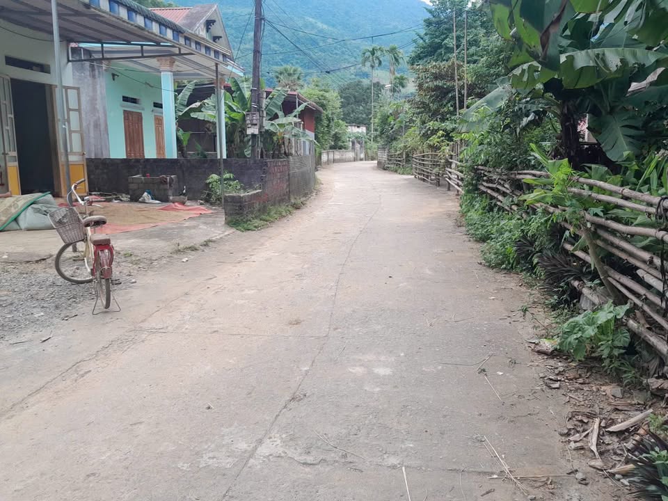 Đất thổ cư Ngọc Liên, Cẩm Liên, 431m² giá 308 triệu - Sổ đỏ chính chủ!