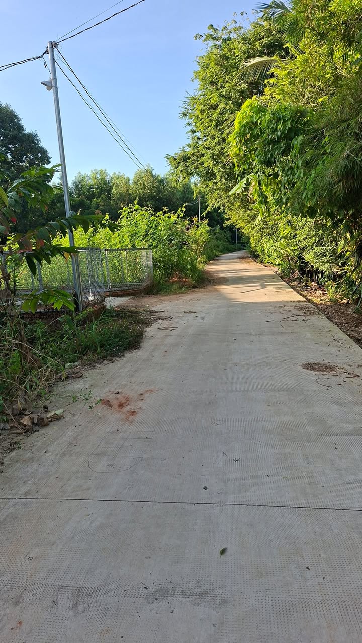 Đất thổ cư Xuân Trường 175m² giá 450 triệu - Cơ hội đầu tư tuyệt vời!