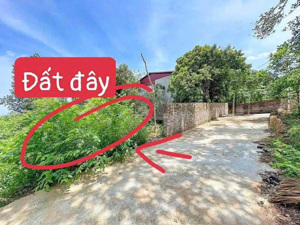 Đất nền Thôn Thượng, xã Duy Phiên, huyện Tam Dương 173m² giá chỉ hơn 3 triệu/m² - Cần bán gấp!