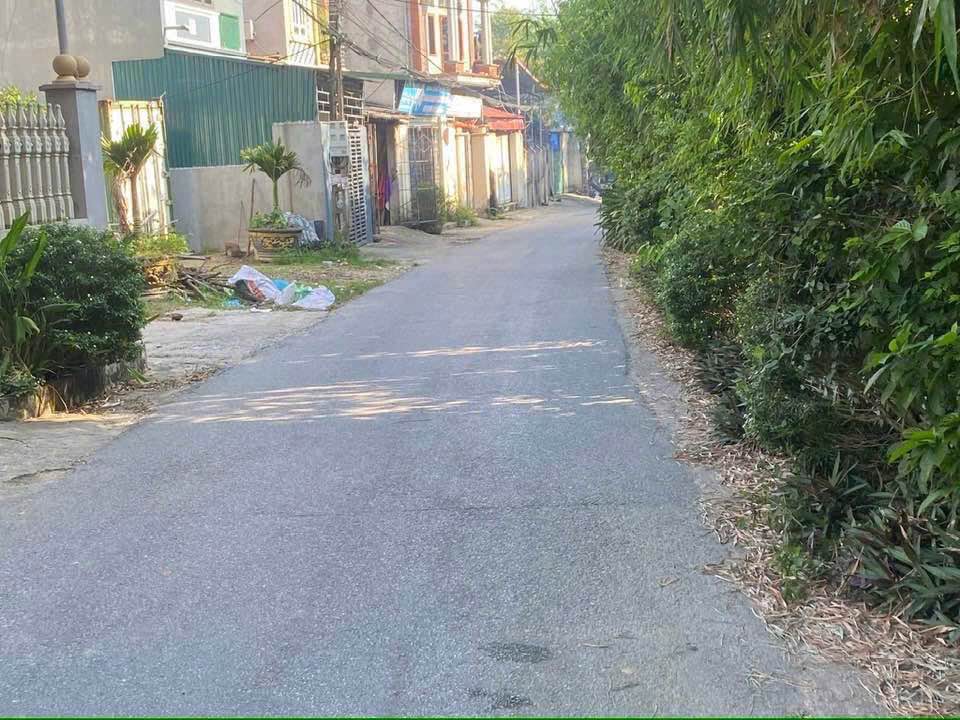 Đất thổ cư 164m² xã Sơn Đông, giá thỏa thuận - Đầu tư sinh lời ngay!