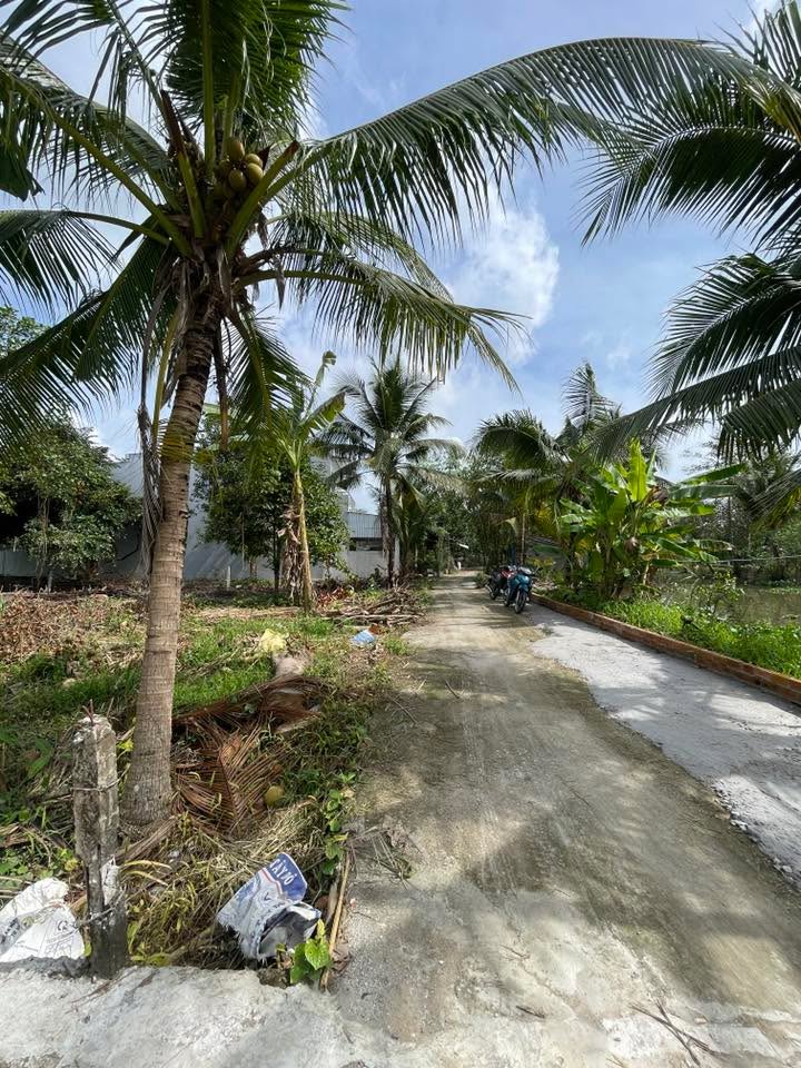 Đất làm khu nghỉ dưỡng tại Mỹ Khánh, Cần Thơ 1.593m² giá 3.8 tỷ - Cơ hội đầu tư tuyệt vời!