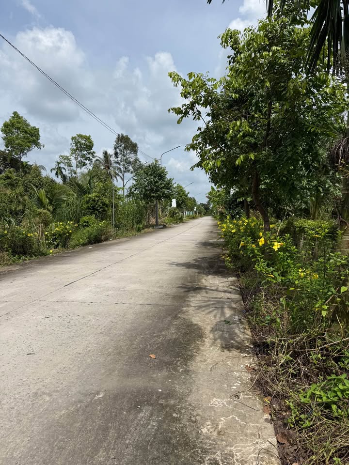 Đất nền Phước Thới, Ô Môn 4000m² giá 6 tỷ - Cơ hội đầu tư vàng!