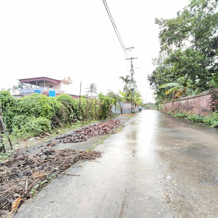 Đất nền góc Thôn Thuần Thành 100m² giá chỉ 700 triệu - Sổ đỏ trao tay!