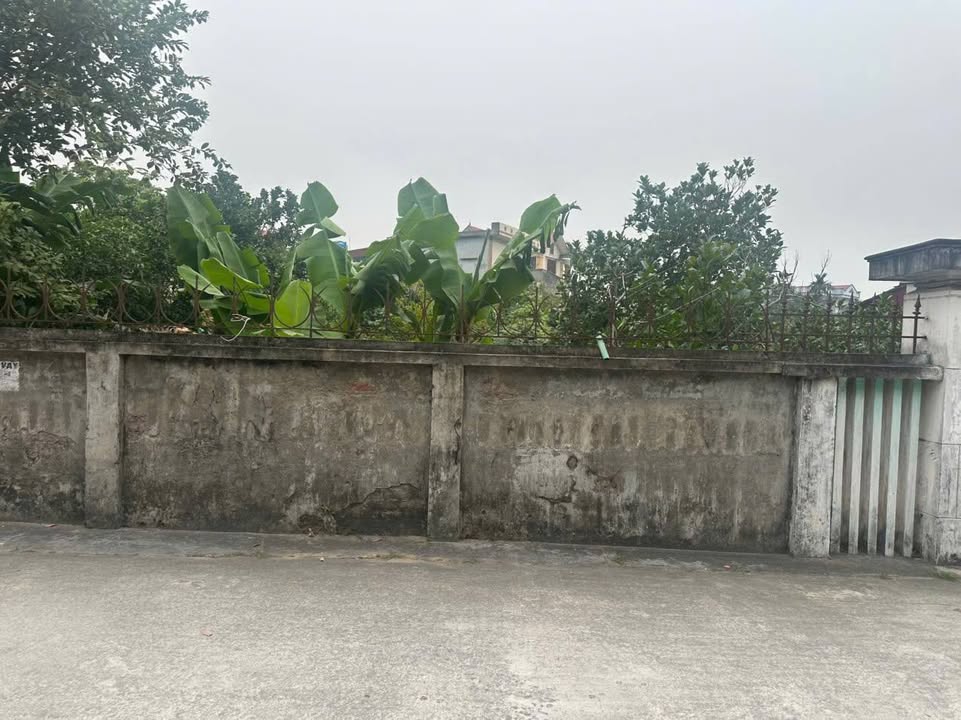 Đất thổ cư Minh Thọ 172m² giá mềm - Đường ô tô vào tận nơi!