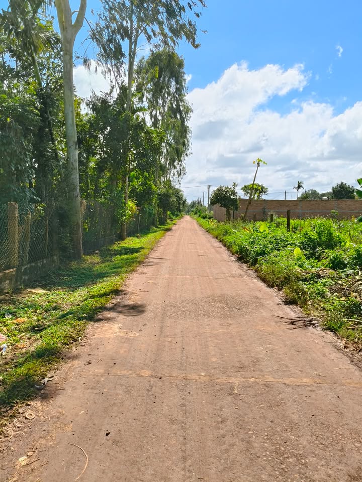 Đất thổ cư Ea Hồ 150m² giá chỉ 400 triệu - Đường bê tông rộng rãi