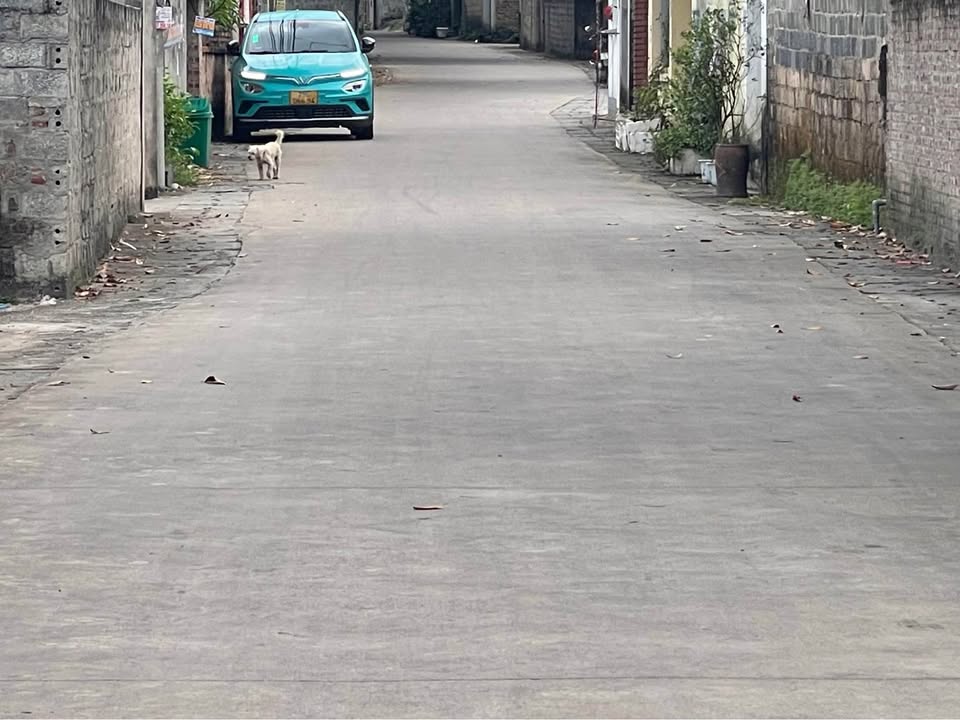 Đất thổ cư Phú Cát, Quốc Oai 142m² giá 3.142 tỷ - Đường rộng, kinh doanh thuận lợi!