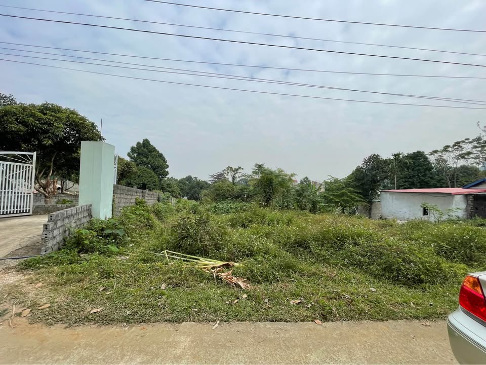 Đất nền Liên Sơn, Lương Sơn 230m² giá 1.1 tỷ - Cơ hội đầu tư tốt!