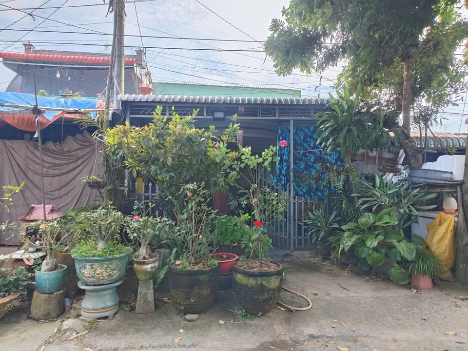 Nhà đất ấp Long Thuận, Châu Phú 100m² giá 815 triệu - Chính chủ bán gấp!