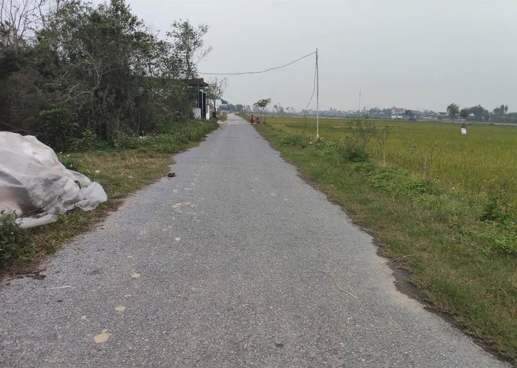 Đất Nghi Trường, Nghệ An 138m² giá 1.95 tỷ - Đầu tư sinh lời ổn định!