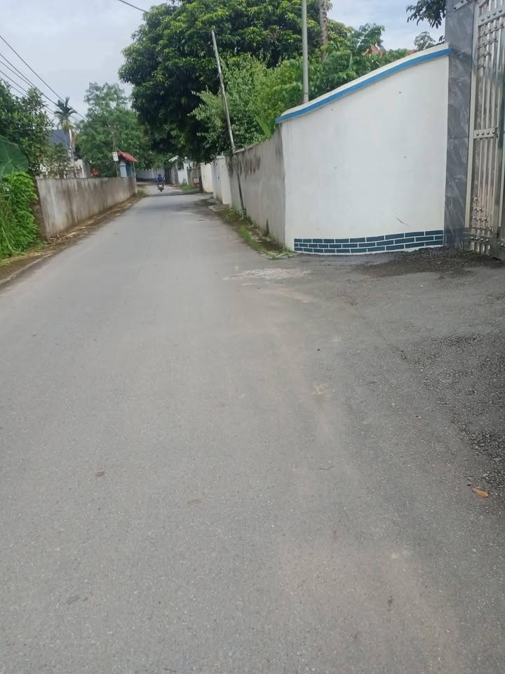 Đất nền chính chủ 326m² tại Thôn Yên Kiêu, Sông Lô - Giá 1.4 tỷ VND, thương lượng!