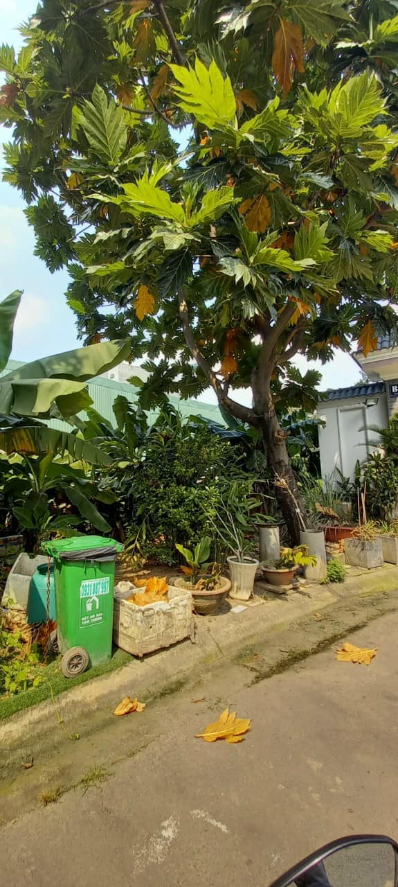 Đất nền Tân Thới Hiệp, Quận 12, 170m² giá 8.1 tỷ - Đường nhựa 8m, xây dựng tự do!