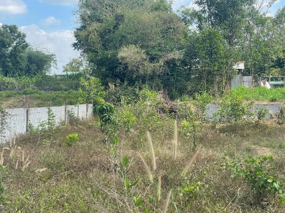 Lô đất vườn Trung Lập Hạ, Củ Chi 320m² giá 500 triệu - Cơ hội đầu tư tuyệt vời!