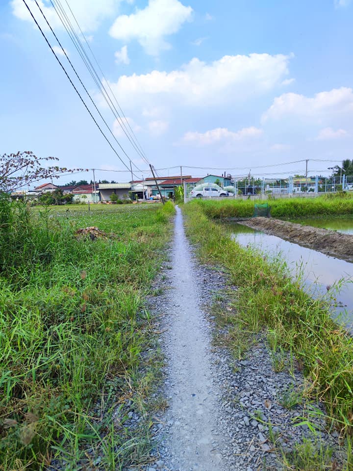 Đất vườn Hưng Long 1000m² giá 5.5 tỷ - Đầu tư sinh lời hấp dẫn!