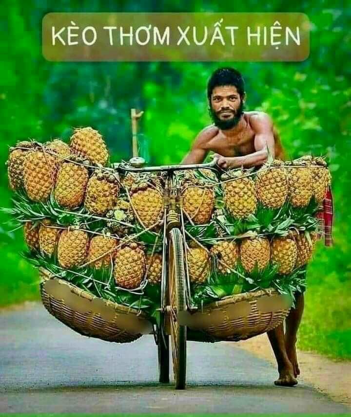 Khách sạn mặt tiền Đường Số, Quận Bình Tân 138m² giá 16 tỷ - Đầu tư sinh lời cao!