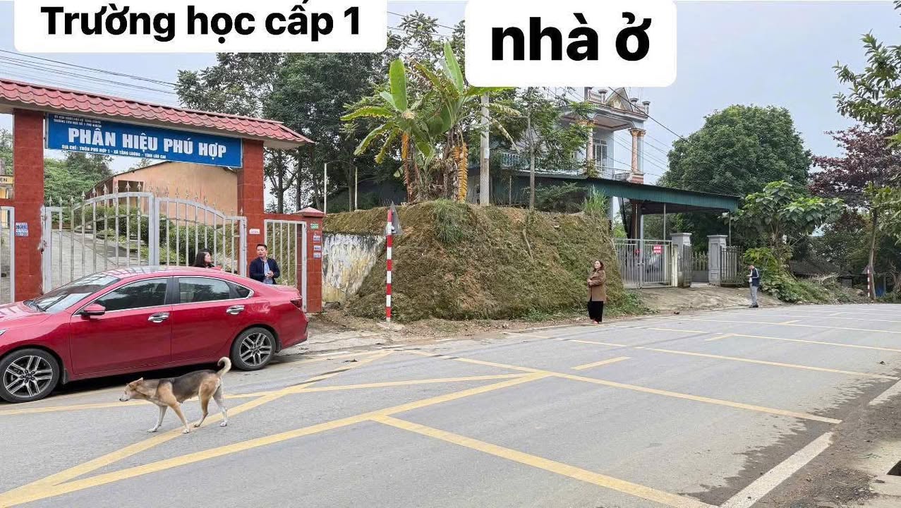 Nhà mặt phố TL151, Phú Nhuận, Lào Cai 262m² - Kinh doanh sầm uất!