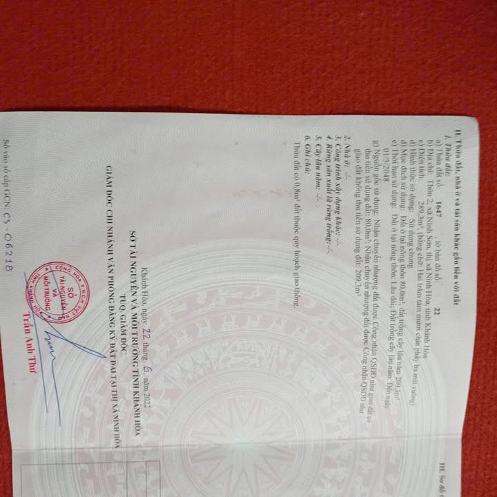 Đất Nền Ninh Sơn, Ninh Hòa 289.3m² giá 1.1 tỷ - Chính chủ cần bán gấp!