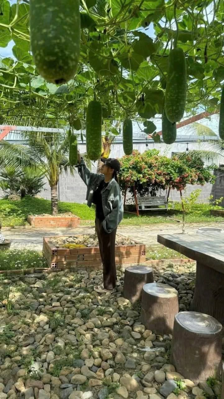 Đất thổ cư 1000m² tại Diên Xuân, giá 3.5 tỷ - Chính chủ bán gấp!