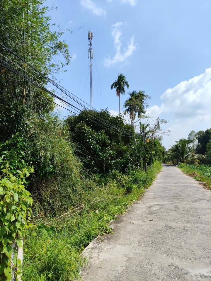 Đất nền Nhơn Ái, Phong Điền 70m² giá 485 triệu - Cơ hội đầu tư hấp dẫn!