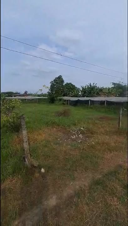 Đất thổ cư 300m² xã Tân Phú Trung, Củ Chi giá 2.8 tỷ - Đường ô tô vào tận nơi!