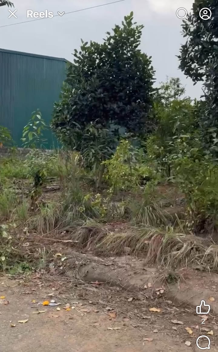 Đất nền Nam Hải, Sơn Hải, Bảo Thắng 150m² giá 600 triệu - Cơ hội đầu tư tuyệt vời!