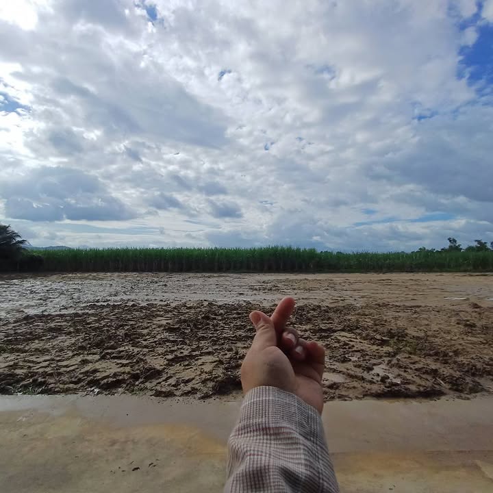 Đất nền Diên Phước Diên Khánh 149m² giá chỉ 780 triệu - Đầu tư sinh lời hấp dẫn!