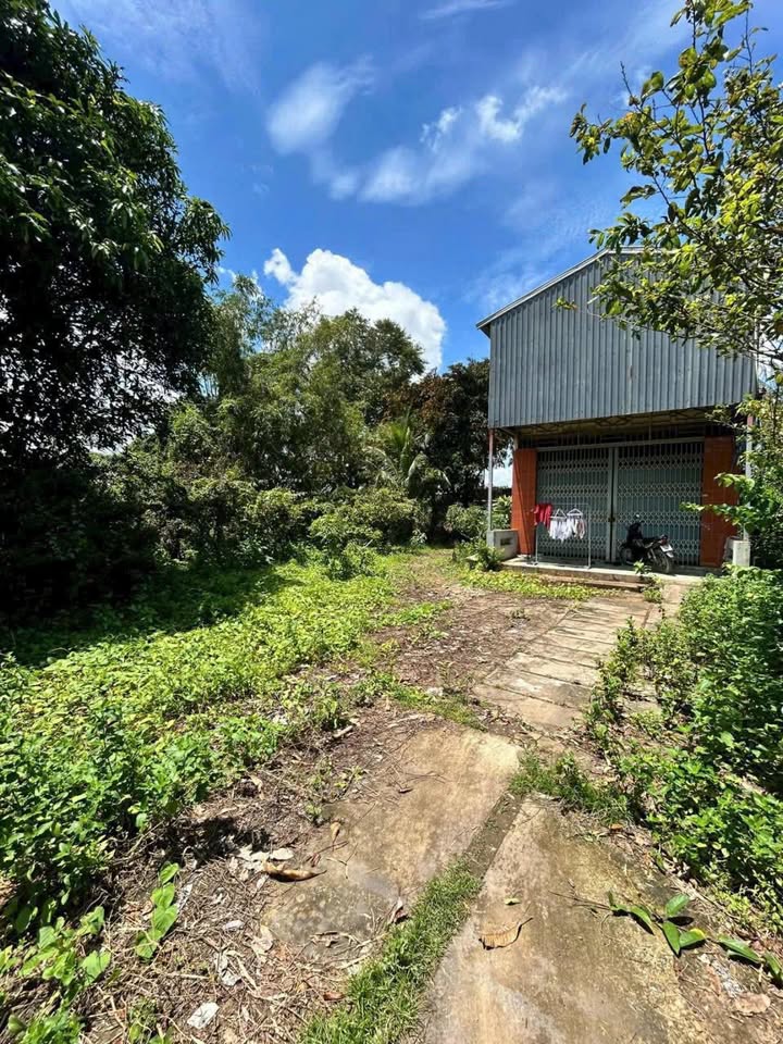 Nhà vườn cho thuê tại Mỹ Quý, 1.600m² chỉ 4 triệu/tháng - Không gian lý tưởng cho nghỉ dưỡng!