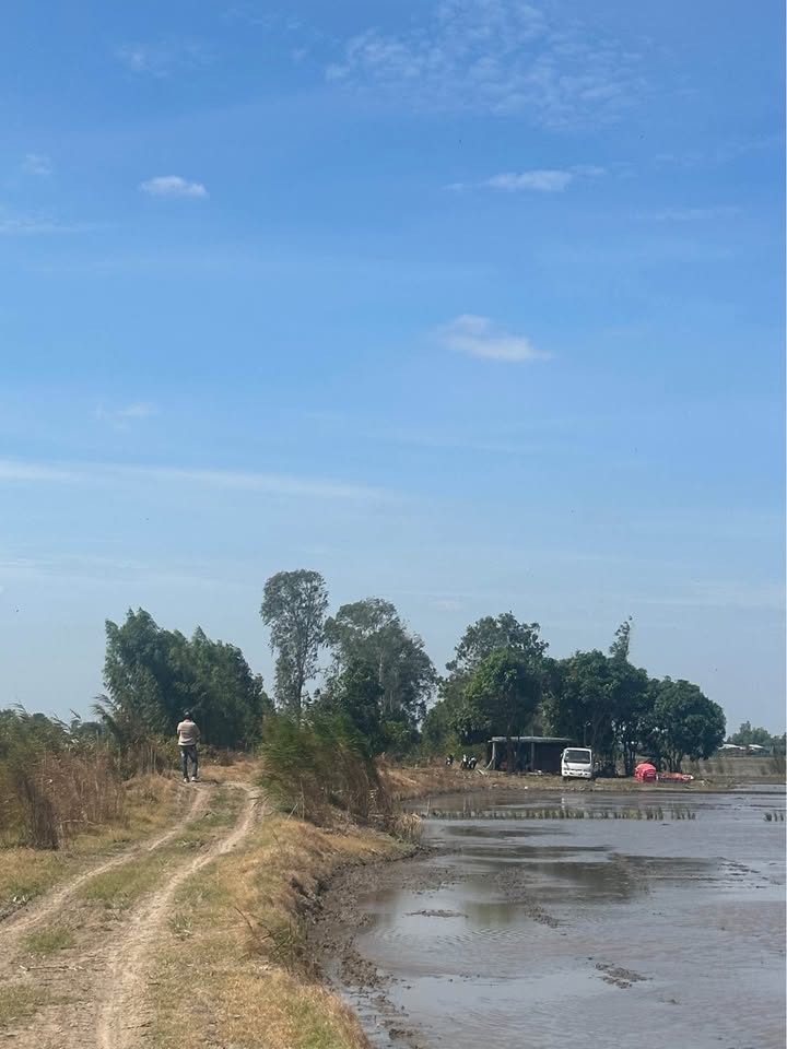 Đất nông nghiệp 40 công Vĩnh Thành, Châu Thành chỉ 149 triệu - Sẵn sàng cho thuê!