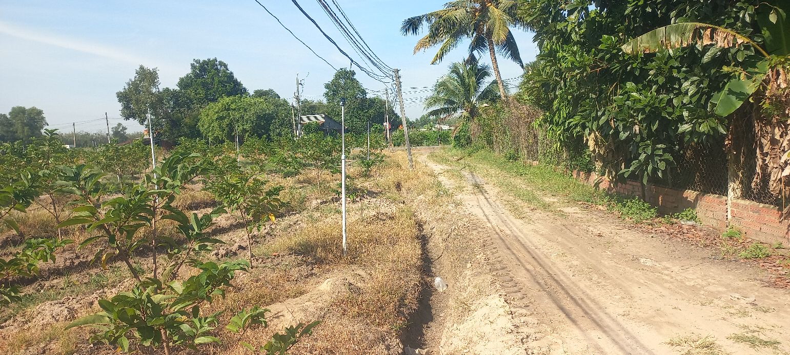 Đất thổ cư khu phố Đông Cỏ Đỏ, phường Bình Minh, 125m² giá 350 triệu - Cơ hội đầu tư tuyệt vời!