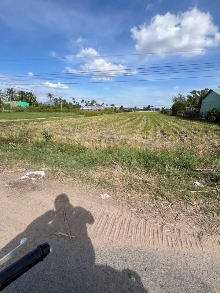 Đất mặt tiền Quốc lộ 22, phường Thanh Điền, 1145m² giá 1.287 tỷ - Cơ hội đầu tư tuyệt vời!