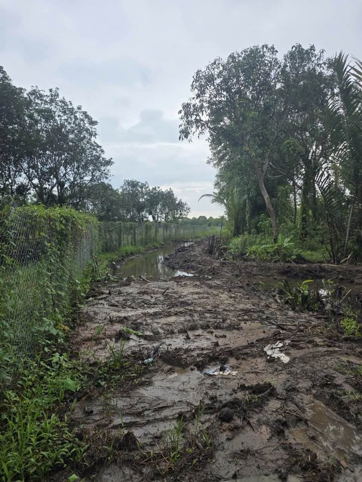 Đất nghỉ dưỡng 3233m² tại Mỹ Khánh, Cần Thơ - Giá tốt chỉ 3.8 tỷ