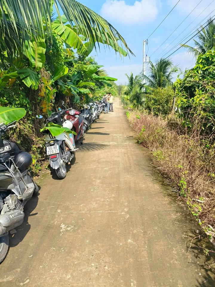 Đất thổ cư Tân Bửu Bến Lức 647m² giá 1.25 tỷ - Chính chủ cần bán gấp!