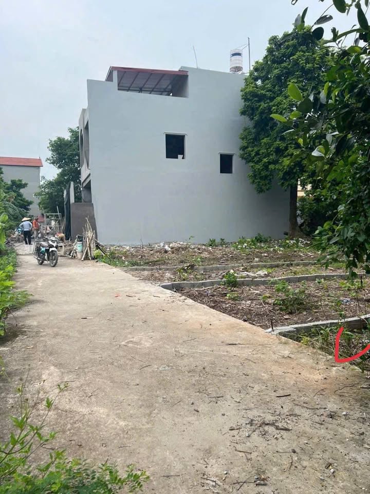 Đất thổ cư Hướng Xá, Quất Động 57.3m² giá chỉ 2 tỷ - Cơ hội đầu tư hiếm có!