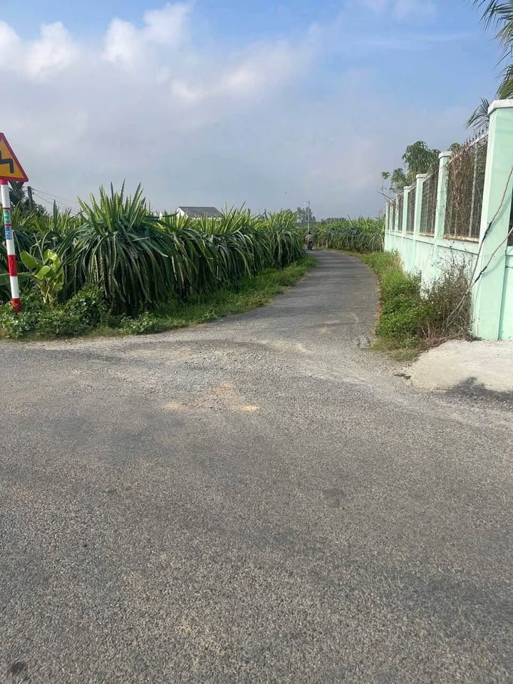 Đất nền 1455m² xã Hàm Mỹ, huyện Hàm Thuận Nam - Tiềm năng đầu tư cao!