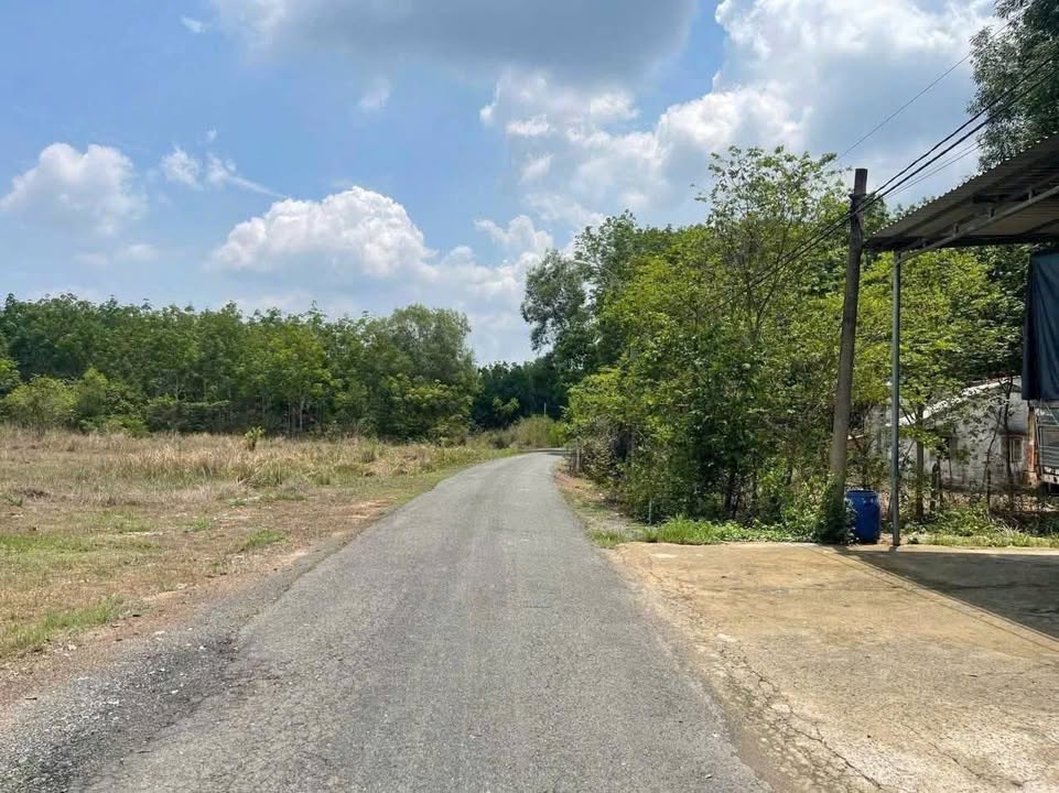 Kho xưởng An Nhơn Tây 826m² giá 5.95 tỷ - Mặt tiền đường nhựa rộng rãi!