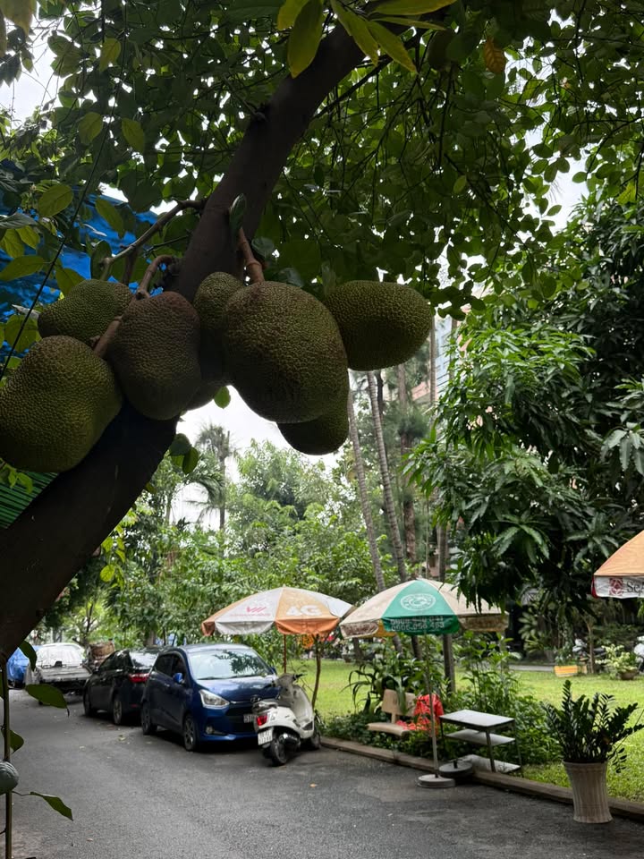 Căn hộ Chung cư Tây Thạnh Tân Phú 58m² giá 2.65 tỷ - Sổ hồng lâu dài