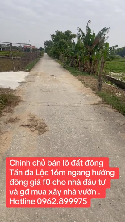 Đất nền Đa Lộc, Hậu Lộc 16m² giá tốt - Đầu tư sinh lời ngay!