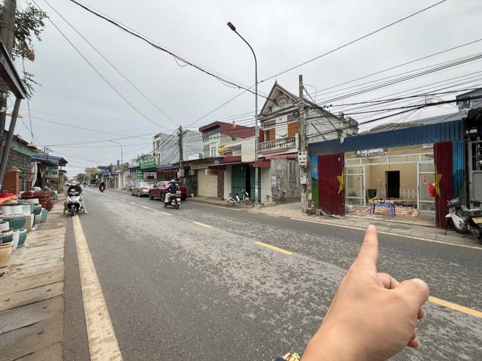 Đất nền mặt đường 203, Phường Thuỷ Nguyên, Hải Phòng 100m² - Chính chủ bán gấp!