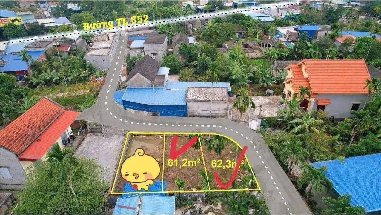 Đất nền Quảng Cư Quảng Thanh, Thủy Nguyên, 61m² - Giá tốt không thể bỏ lỡ!
