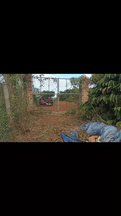 Đất Farm 6 sào tại Xã Ia Phí, Chư Păh, Gia Lai giá 650 triệu - Thương lượng nhẹ!