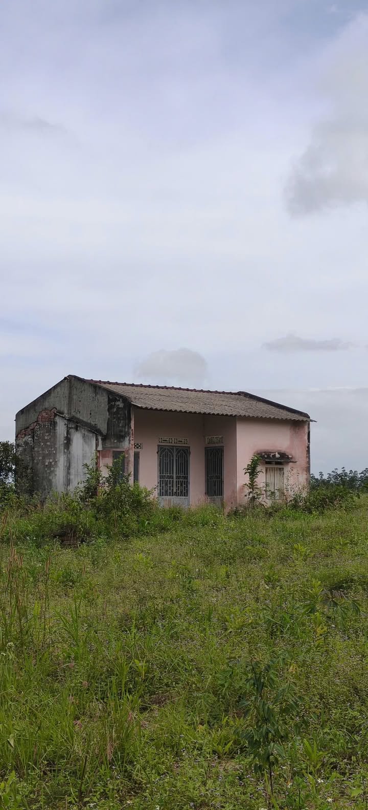 Đất Farm 1.4 Ha tại Cư Ni, Ea Kar - Giá chỉ 1.19 tỷ VND - Cơ hội đầu tư hấp dẫn!