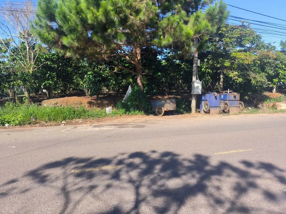 Đất nền Bảo Lộc 1500m² giá 13 tỷ - Mặt tiền Lê Phụng Hiểu, kinh doanh đắc địa!