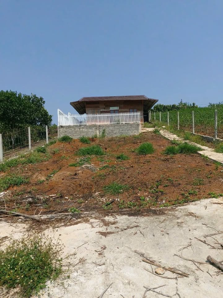 Đất nông nghiệp Bảo Lộc 501m² giá 1.3 tỷ - Sẵn sàng đầu tư!