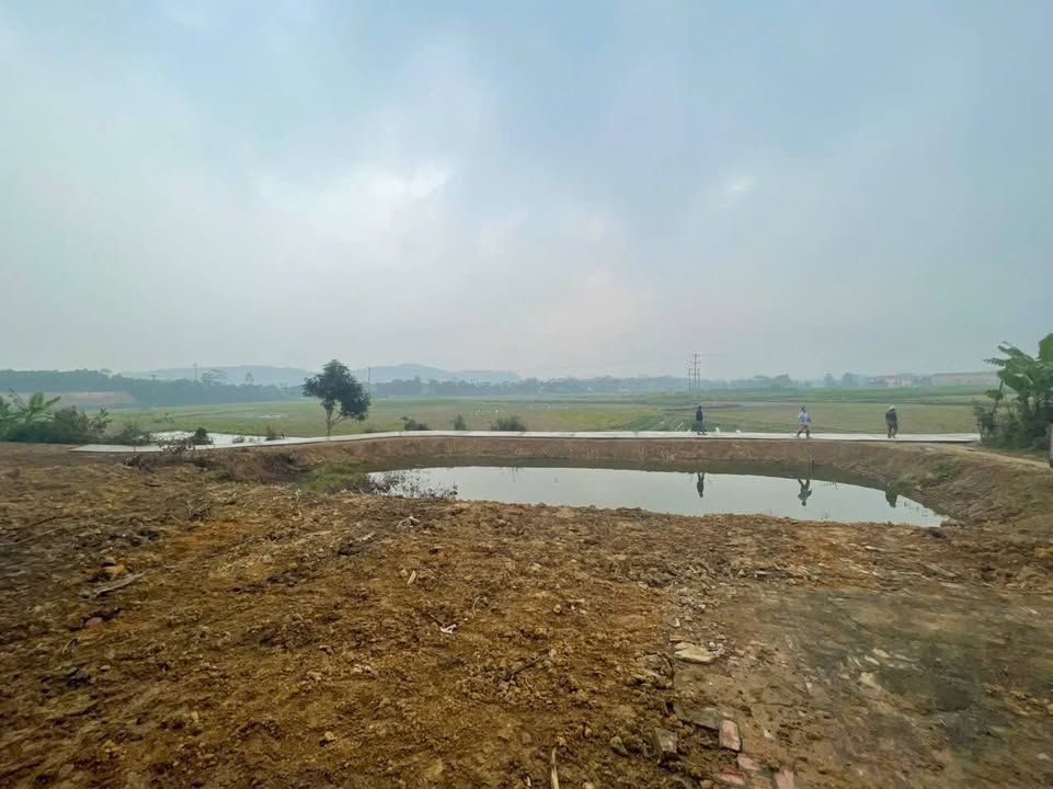 Đất nền Địch Quả, Thanh Sơn 1.085,2m² giá 1 tỷ - Tiện ích giao thông thuận lợi!